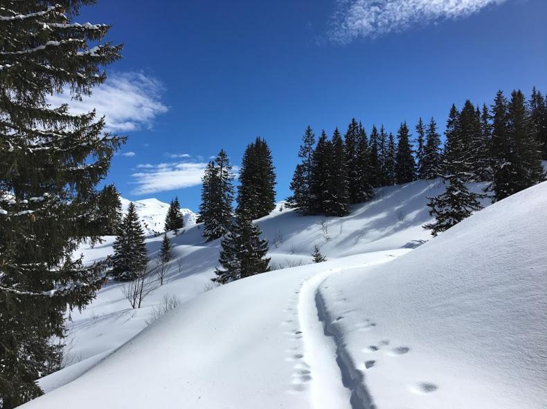Atelier Des Sapins Blancs Hotel Vacheresse Bagian luar foto